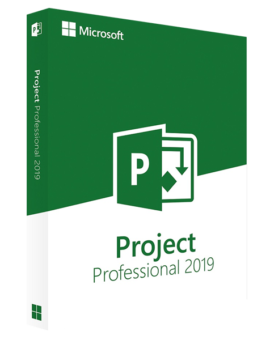 MS Project Professional 2019