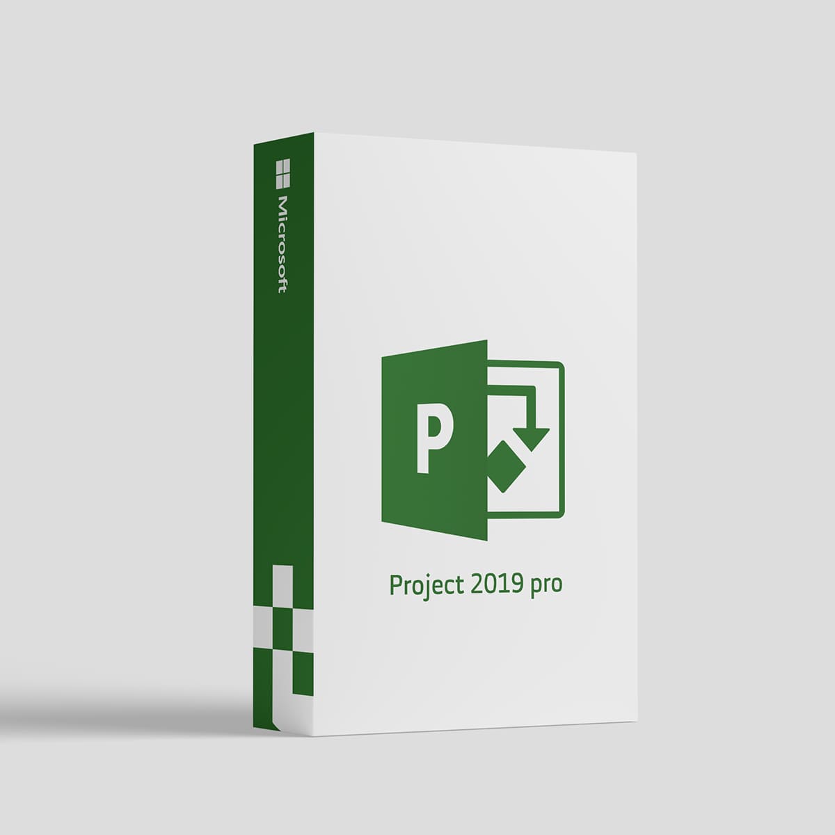 Project-2019-pro MS Project Professional 2019 - Image 1